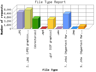 File Type Report: Number of requests by File Type.